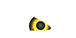 dynamic designs logo